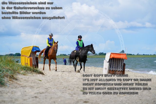 s_K3F05201.JPG